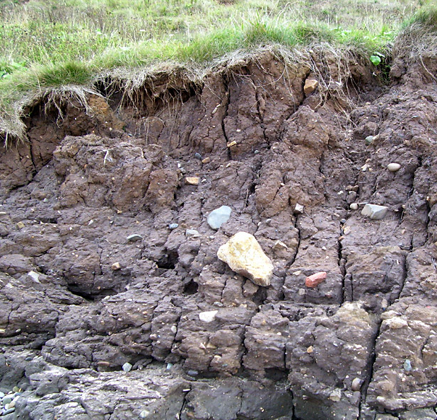 Expedition Earth Boulder clay