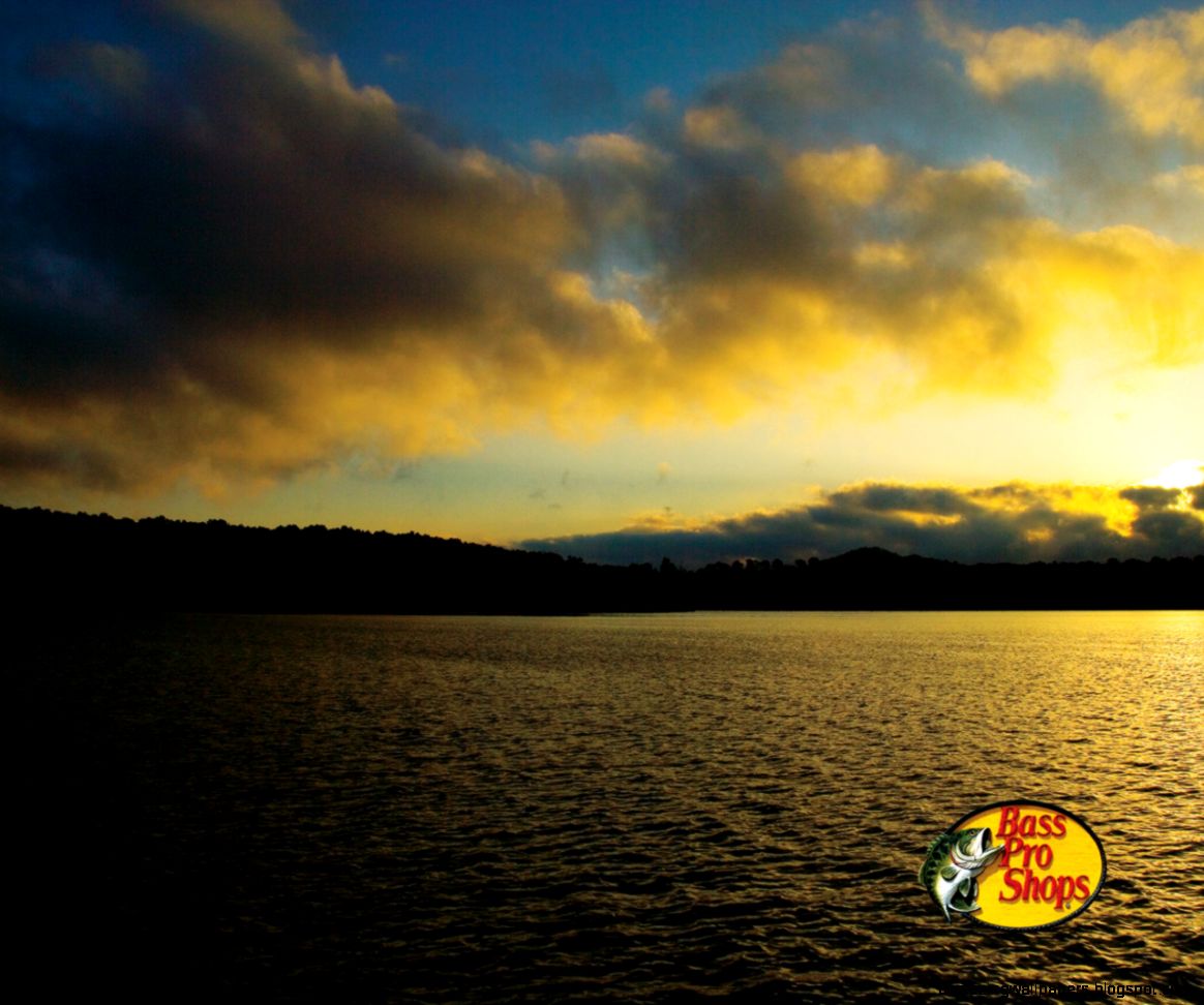 lake trout Page 6 lake trout Page 6