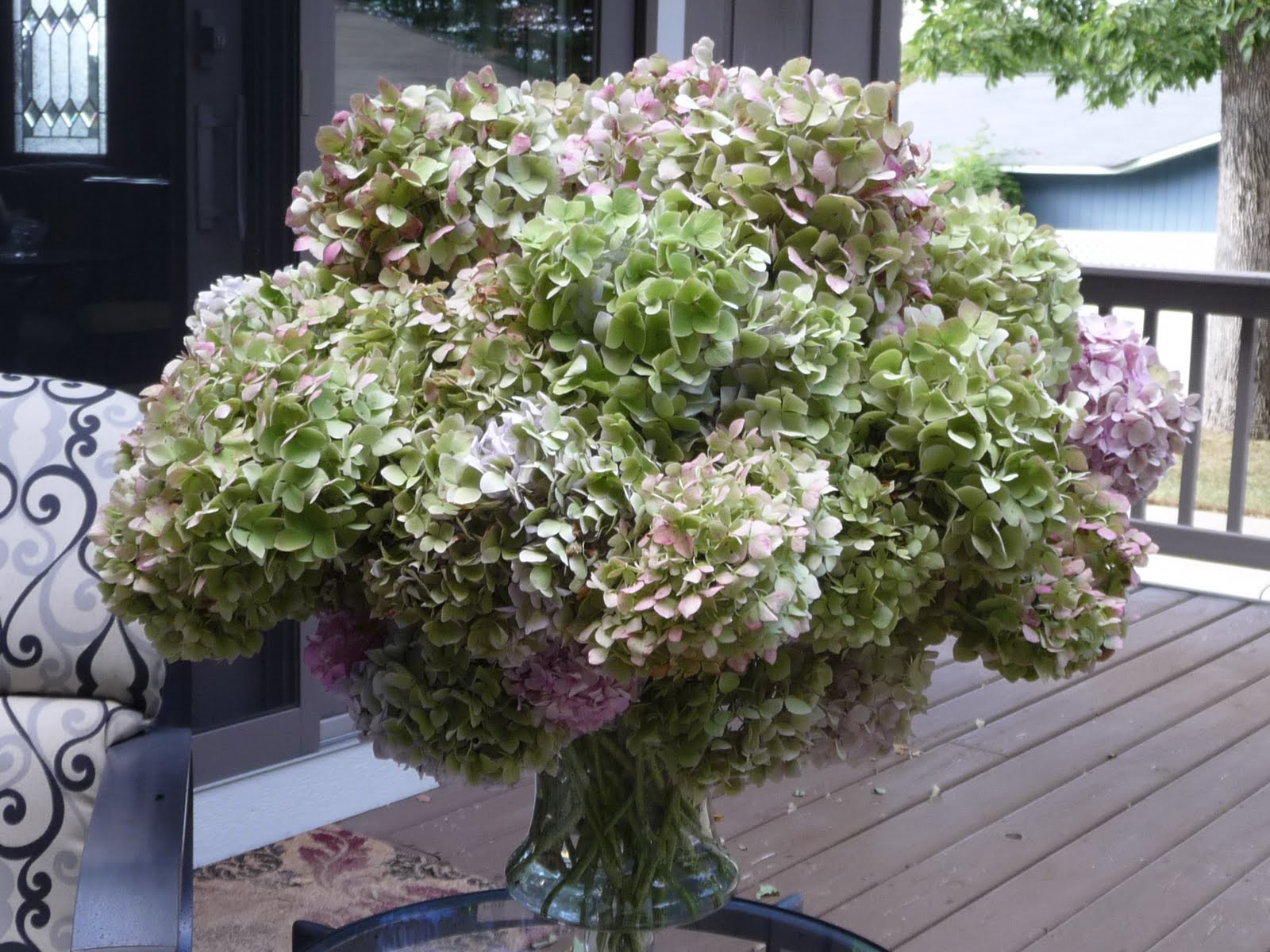 Borrowed Heaven How To Save Wilting Hydrangeas