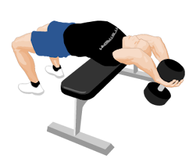 Gym Excercise Fitness Workouts Bent Arm Dumbell Pullover