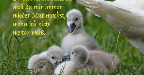 Schone Spruche Leben Fb