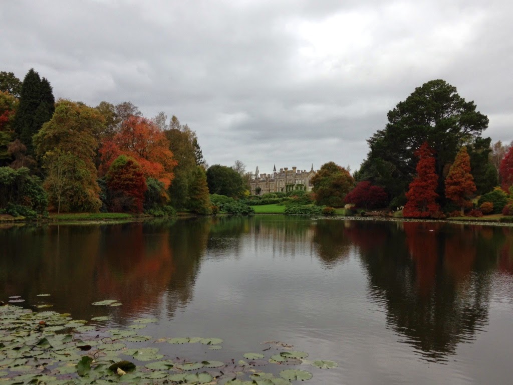 National Trust Scones Sheffield Park and Garden