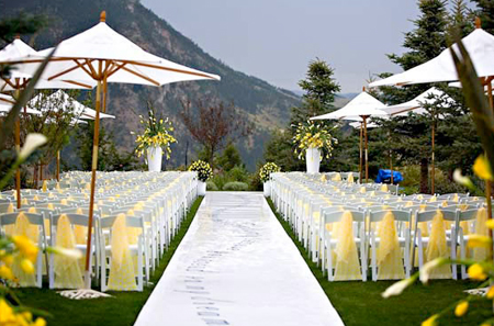For outdoor garden wedding lovers you can sprinkle rose petals on the whole