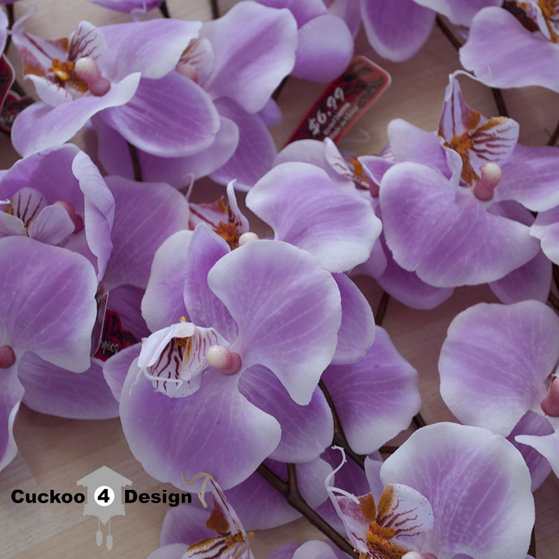 Hobby Lobby finds Cuckoo4Design