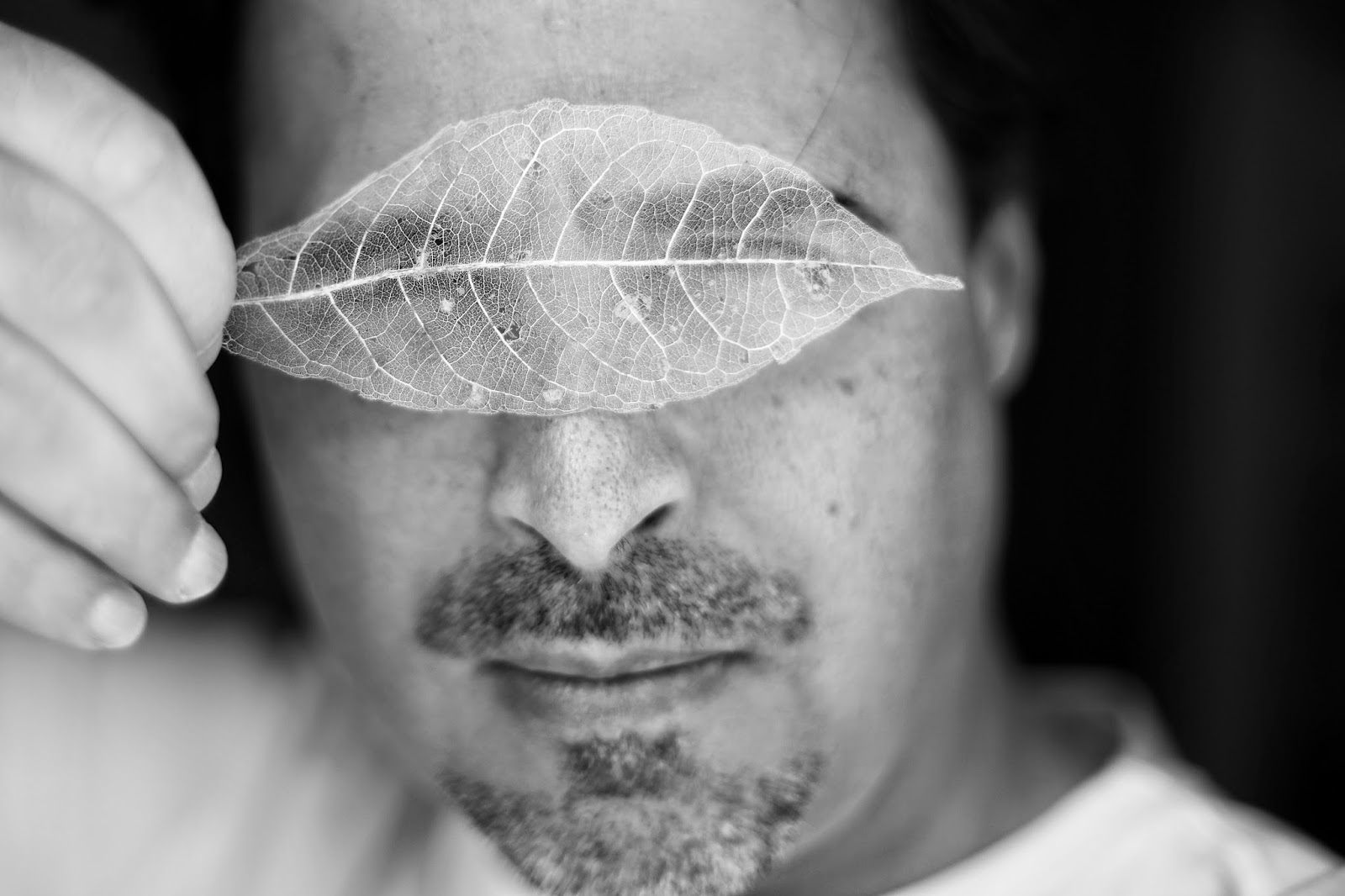 José Eduardo Agualusa identidade e memória Templo Cultural Delfos