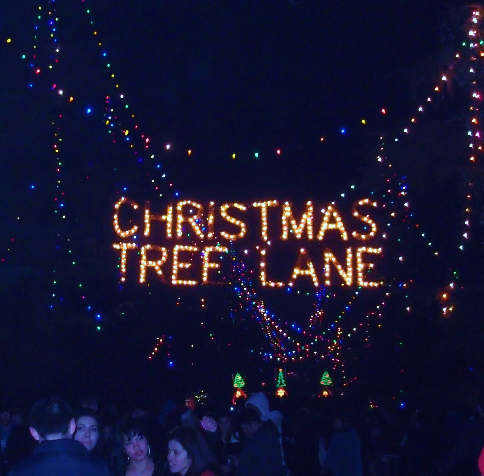 Christmas Tree Lane Walk A Fresno Passeggiata LA DOLCE VITA CALIFORNIA