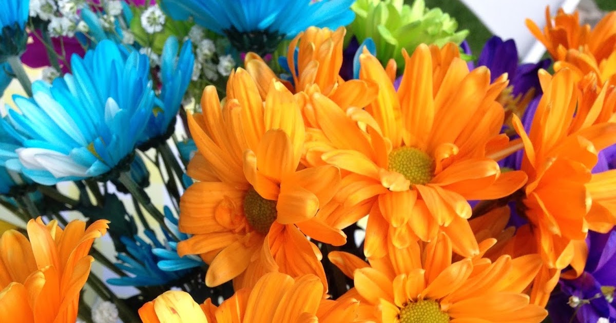 Knitionary daisies to dye for