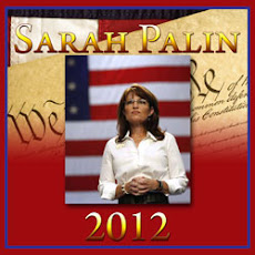 Palin Promotions