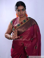 Jayavani Latest Saree Pics stills 3 pic 18