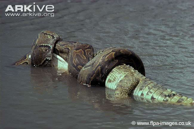 anaconda vs python 2.7 anaconda vs python 2.7