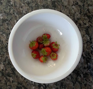 strawberries political wire strawberries political wire
