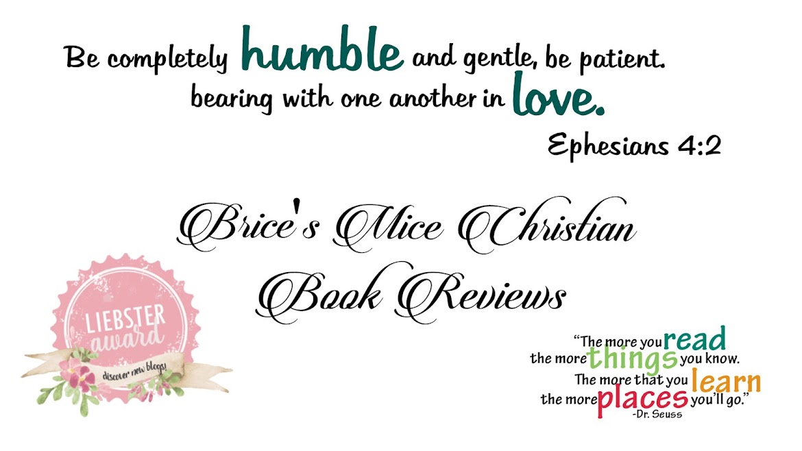 Brice's Mice Christian Book Reviews