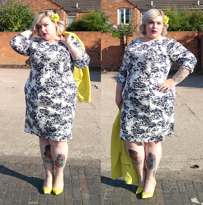 curvissa occasion dresses