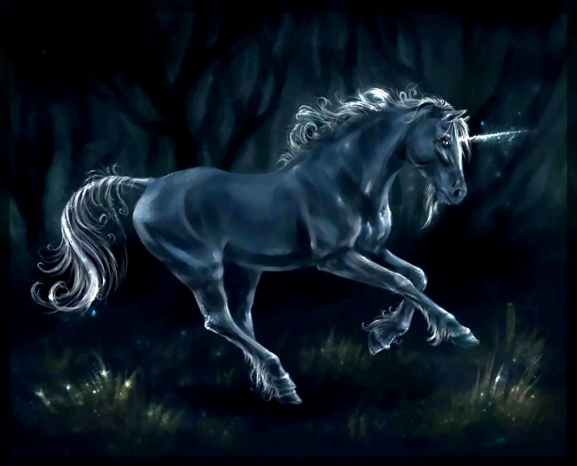 unicorn Wallpaper Backgrounds unicorn Wallpaper Backgrounds