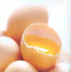 fungsi kegunaan telur untuk kesehatan badan, khasiat makan telur setiap hari, nutrisi dikandung telur