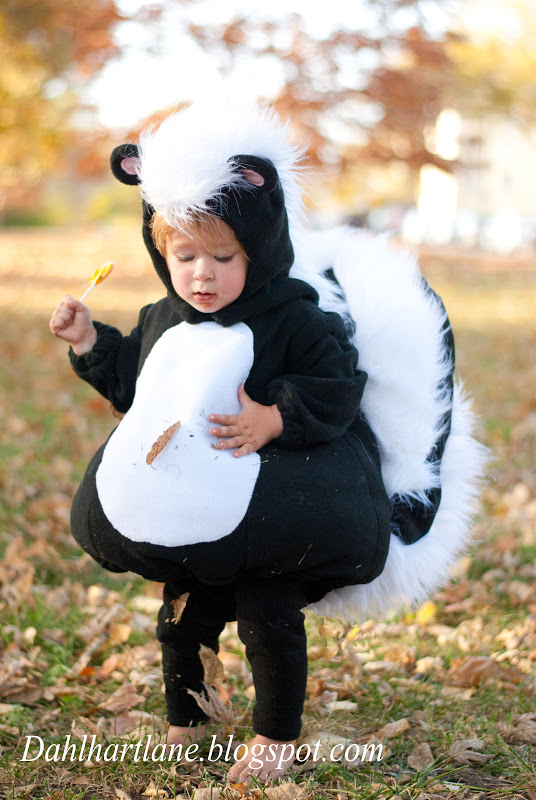 Dahlhart Lane Skunk Costume