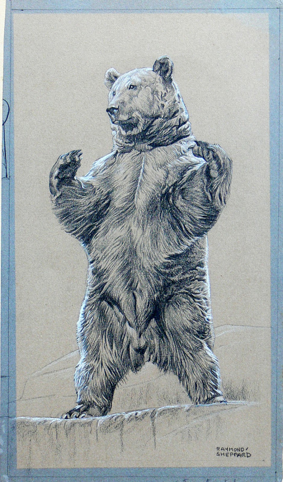 Raymond Sheppard Illustrator Raymond Sheppard exhibition June 16th