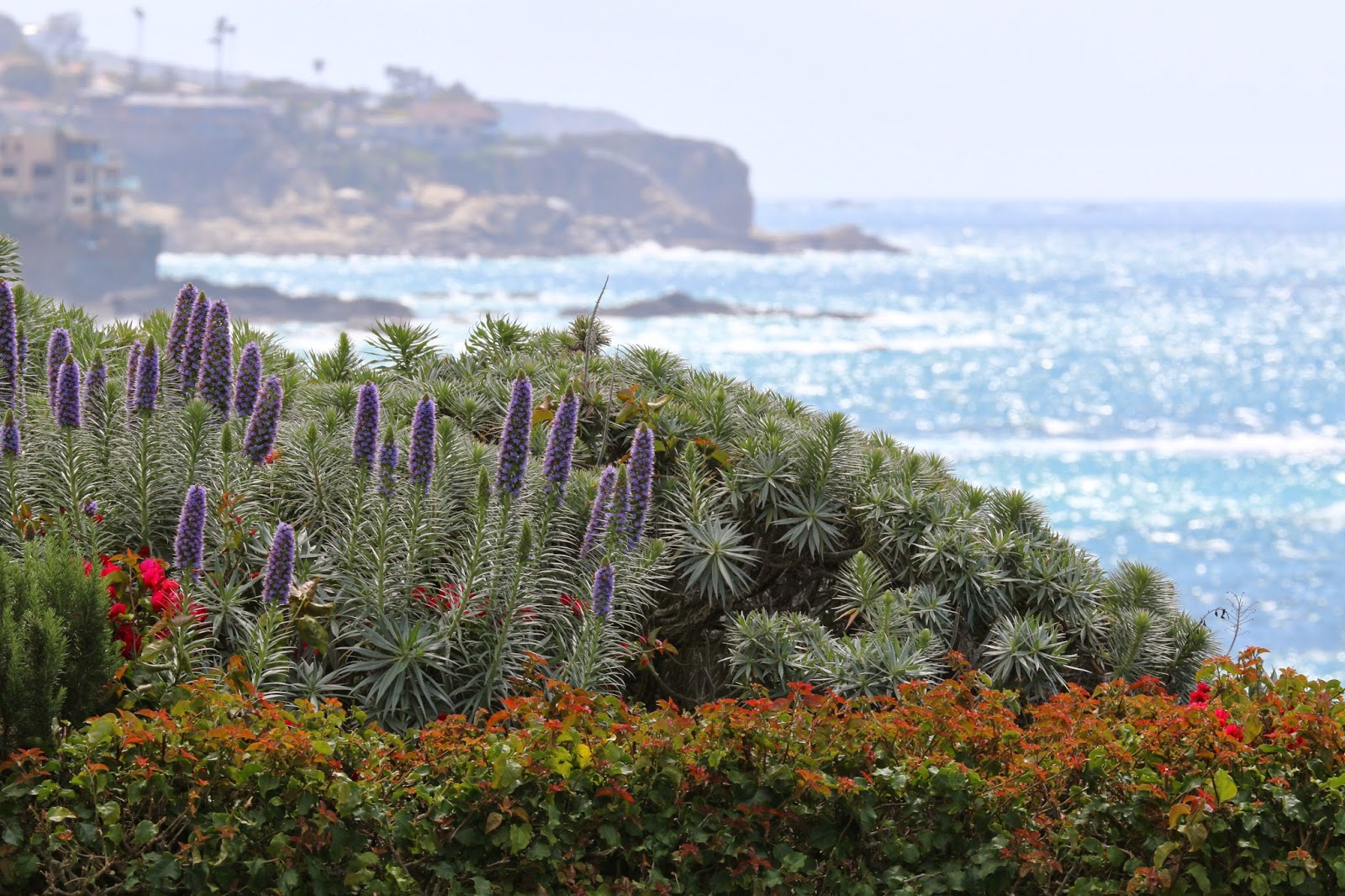 Whisking Through Life Glutenfree "Funky Monkey" Cake