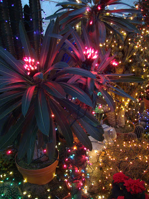 danger garden: Christmas in Spokane, WA…