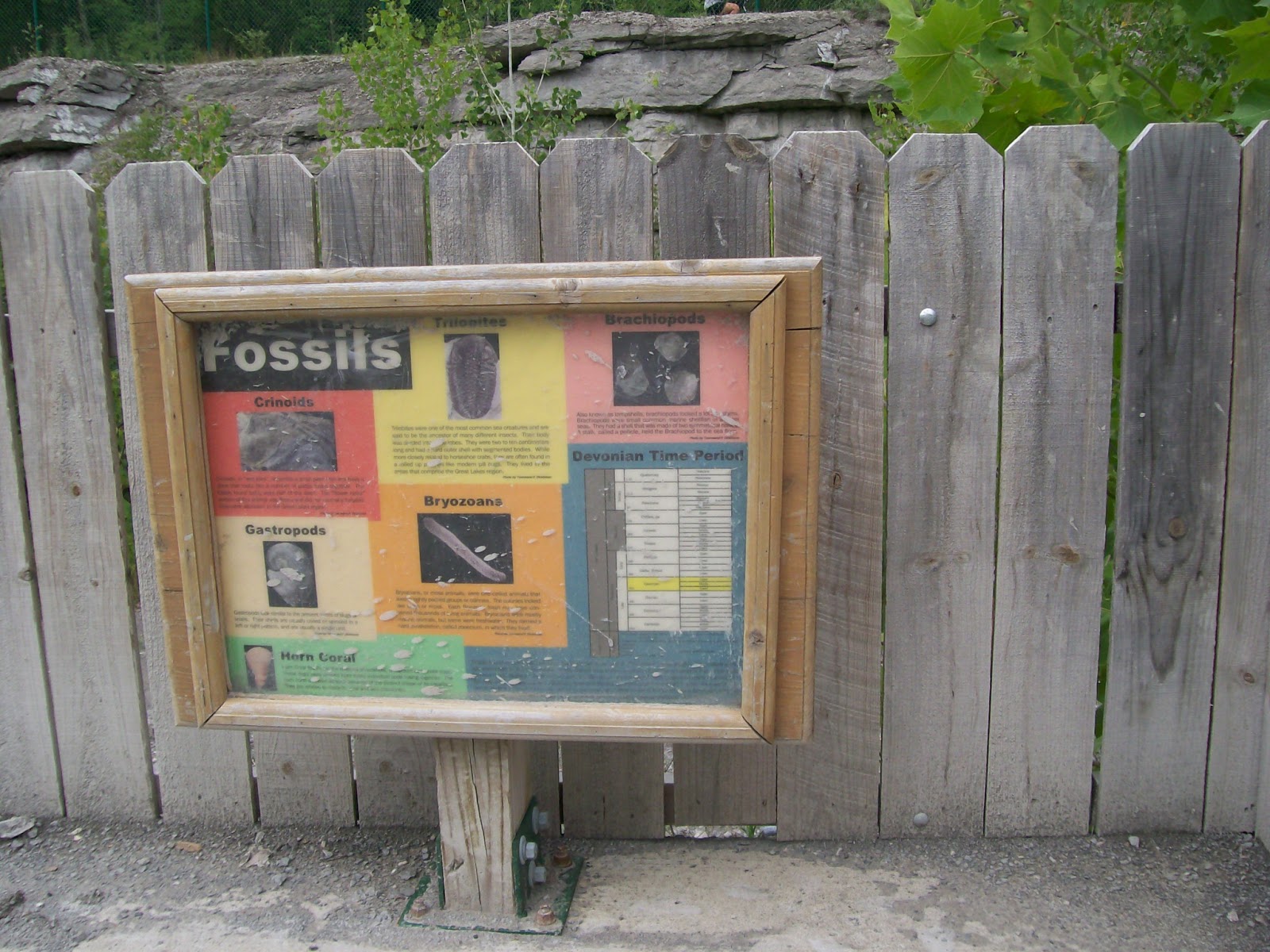 Rockhounding Around Fossil Park, Sylvania Ohio