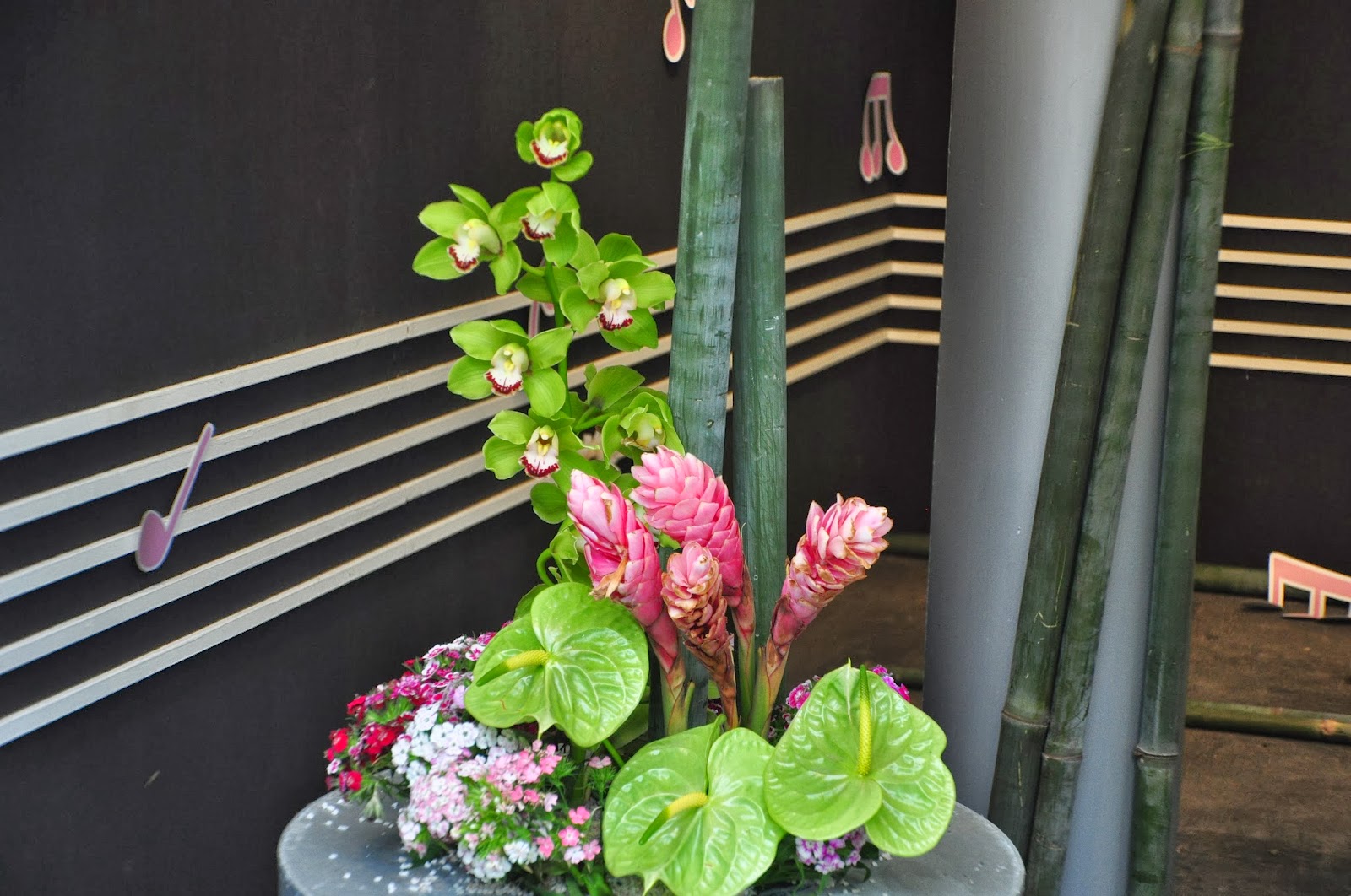 Hong Kong Flower Show 2011 at Victoria Park Hong Kong Trip Day 3