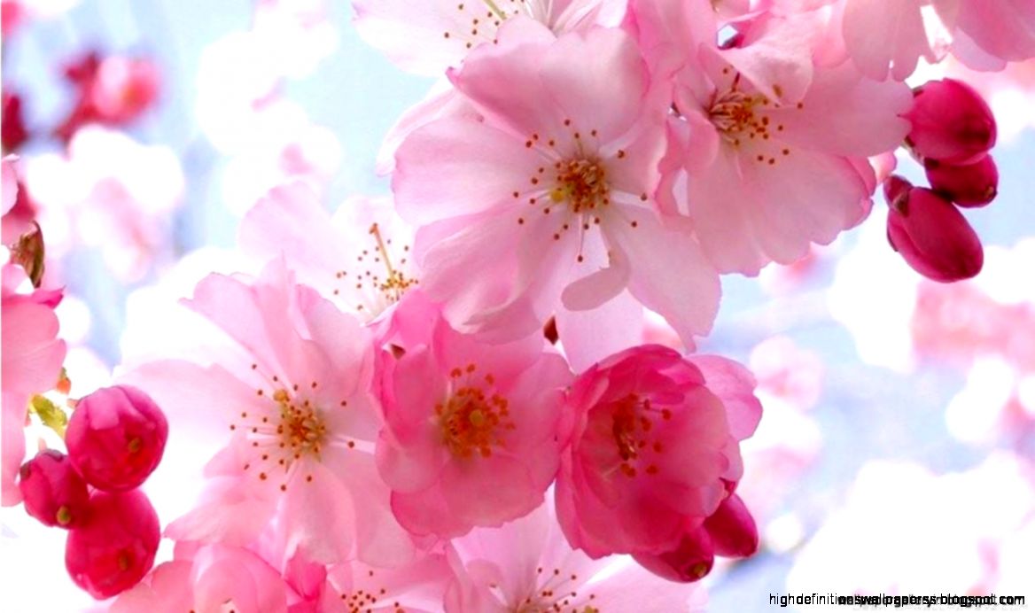 Urban Bench Grayscale Raining Creative Photography Wallpaper Urban Bench Grayscale Raining Creative Photography Wallpaper