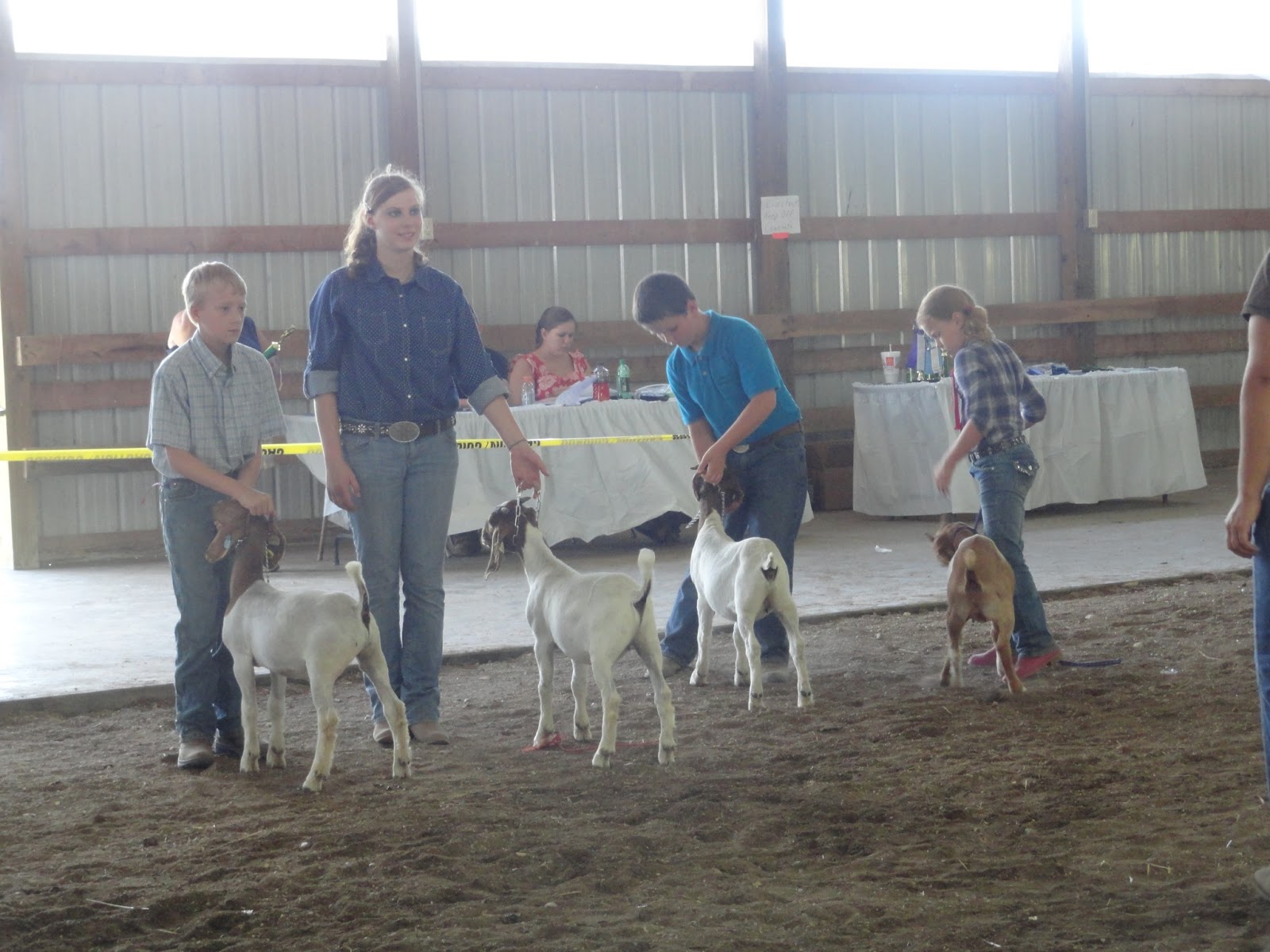 BarnScoop Photos from Hart County Fair 4H Market Lamb, Market Hog