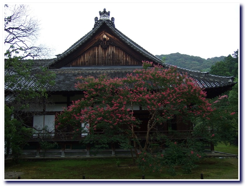 FOTOGRAFIA DE JAPONESAS fotografia de japonesas: