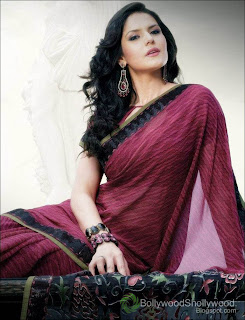 Zarine Khan Saree Photoshoot