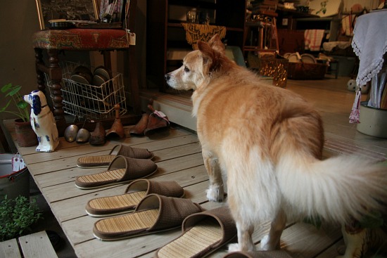 Japanese House Slippers