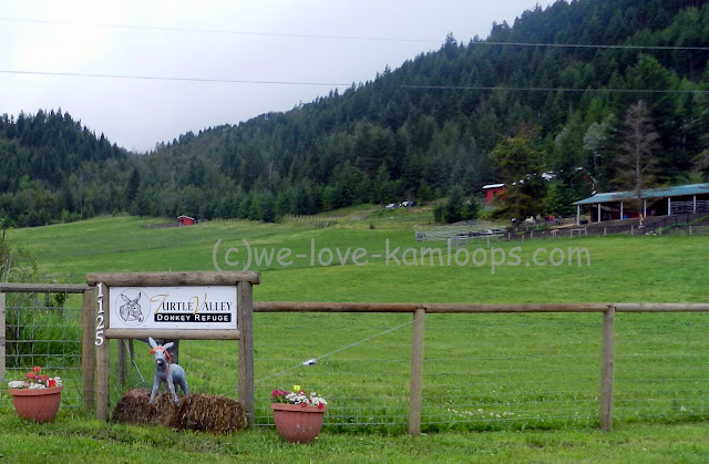 The sign shows we have arrived to the donkey refuge