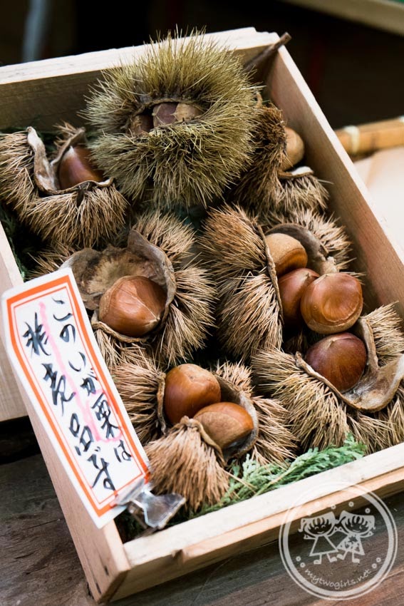 Nishiki Market Chest Nut Shop