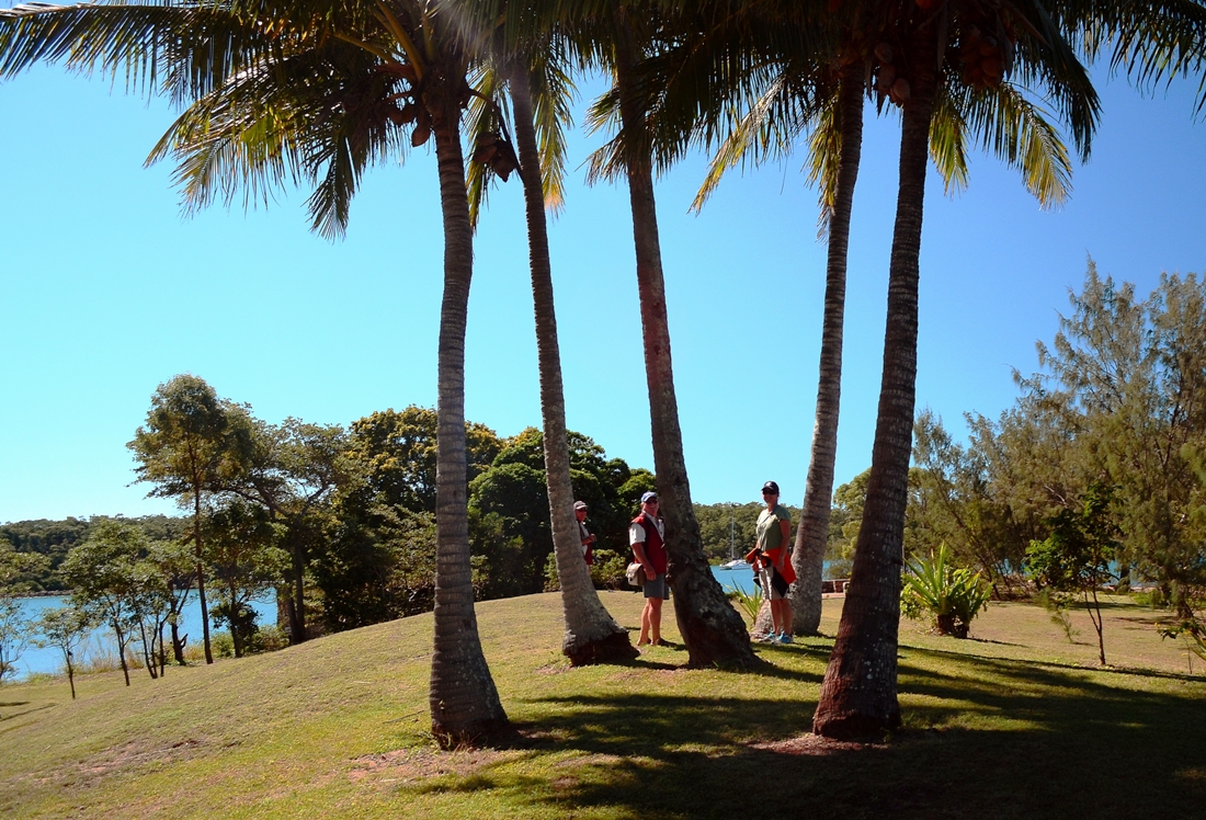 Once Around The Block Sailing with ALANA ROSE Newry Islands