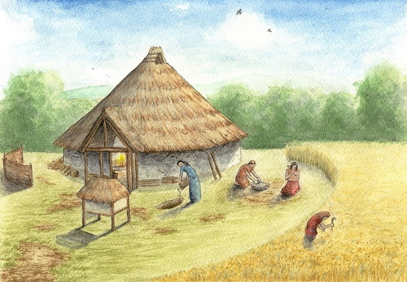 Robert M Chapple, Archaeologist The Knockgraffon Late Bronze Age House