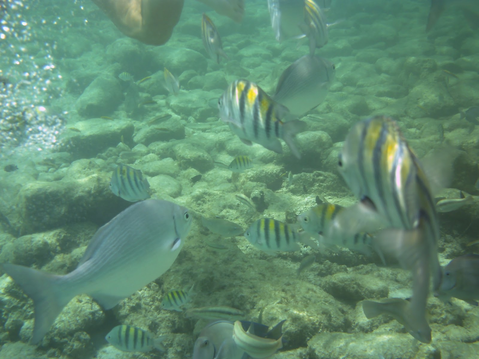 BirdsEyeViews Aruba, "The Happy Island" We Agree!