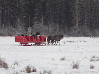 banff alberta