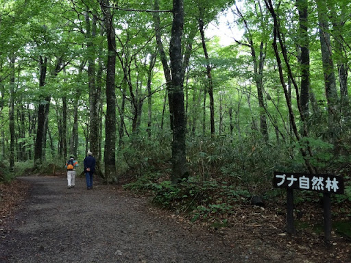 20140920-IMG_0617.jpg 20140920-IMG_0617.jpg
