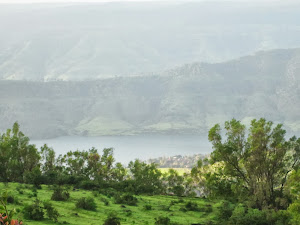 View of the  valley from Kaas Plateau.