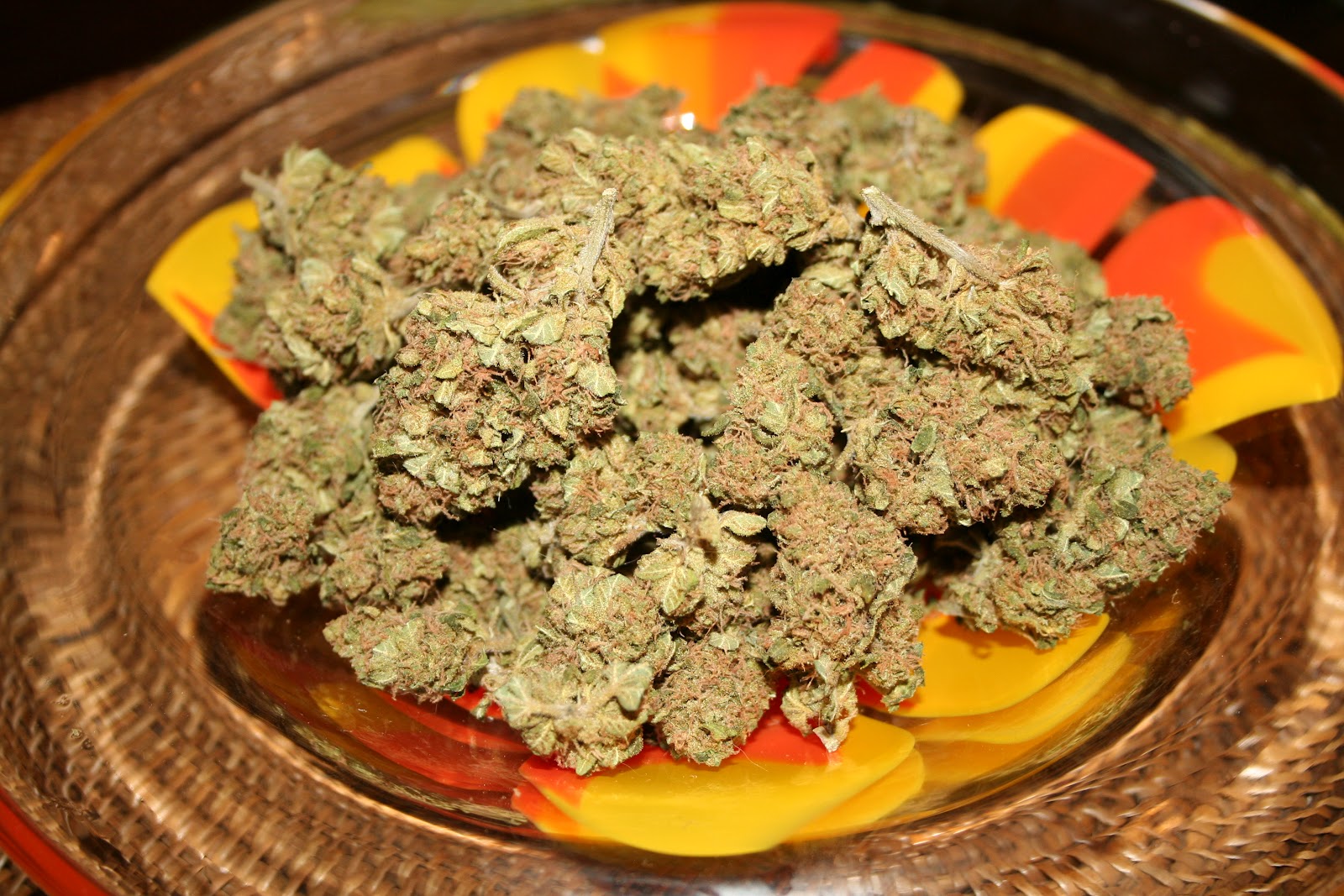 Swiss Cheese Cannabis