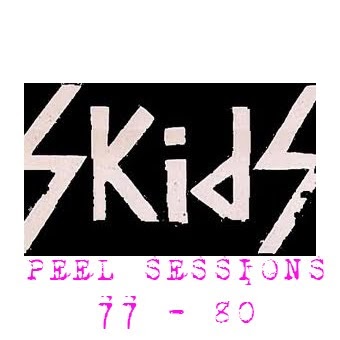 mondo de muebles: The Skids - Peel Sessions