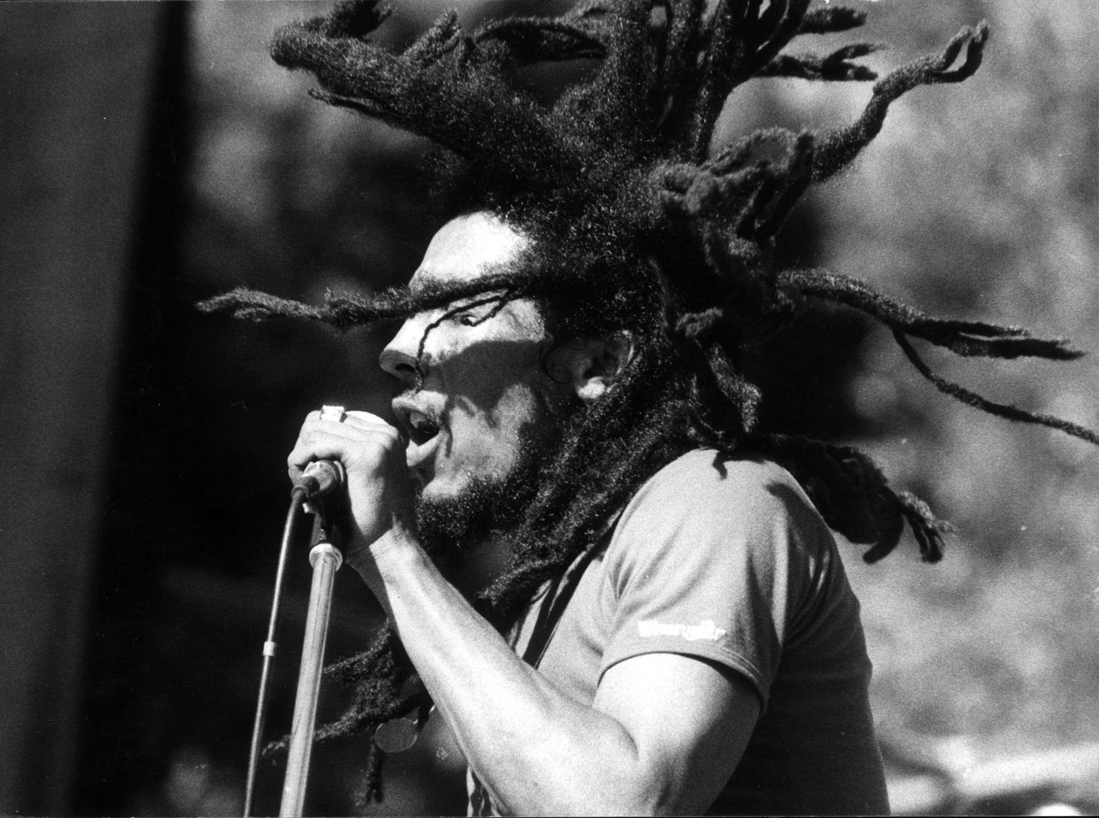 Bob Marley Official Site Life Legacy History