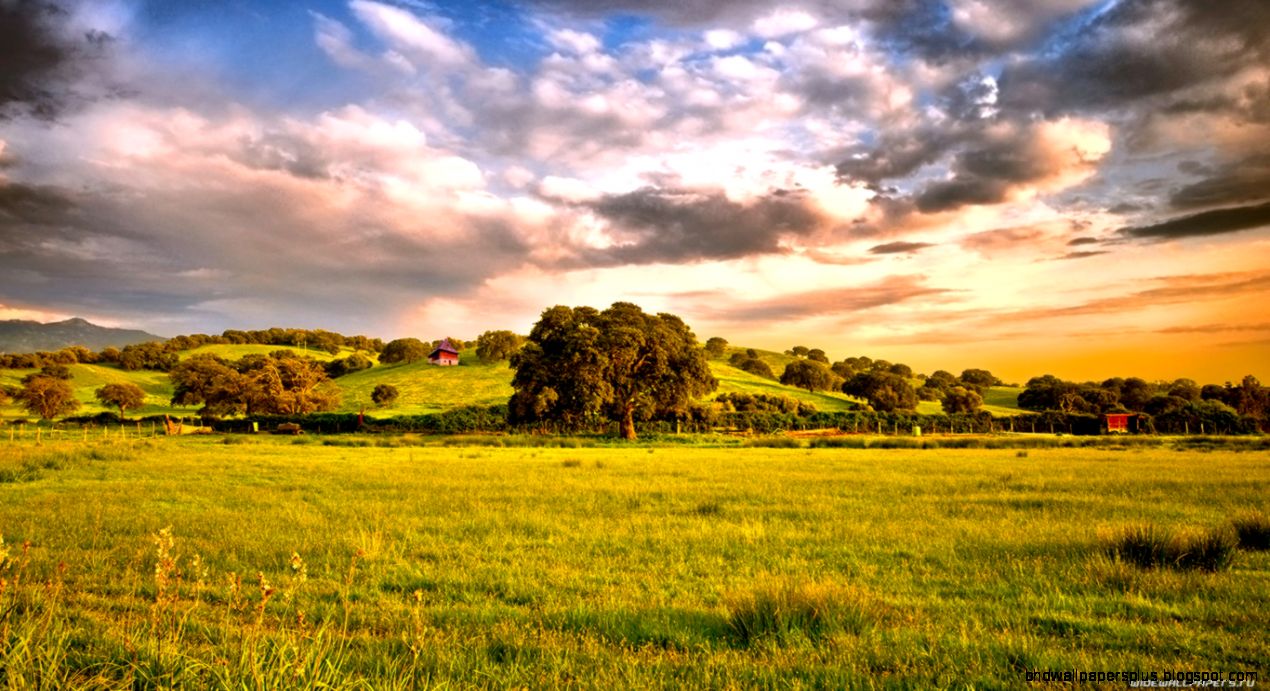 1366X768 wallpapers 1366X768 wallpapers