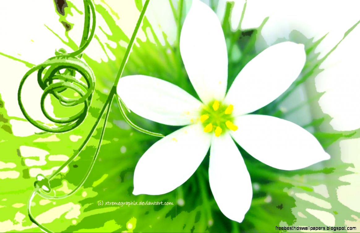 flower widescreen by xtremegraphix on DeviantArt flower widescreen by xtremegraphix on DeviantArt