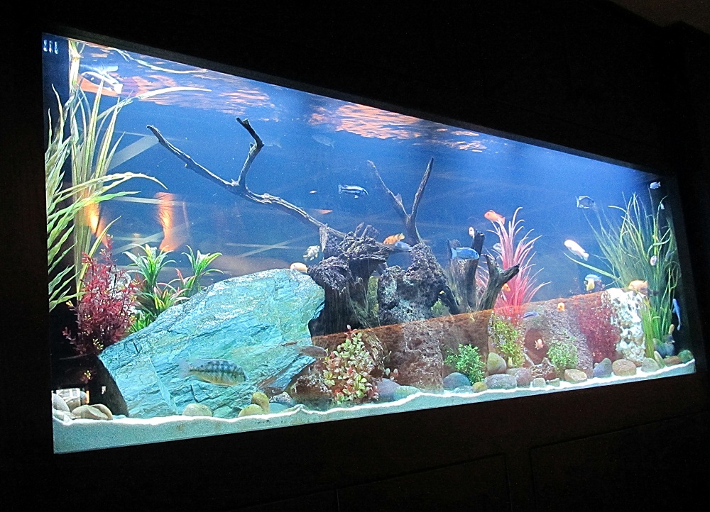 Mahoning Valley Eats & Treats CHEDDAR'S