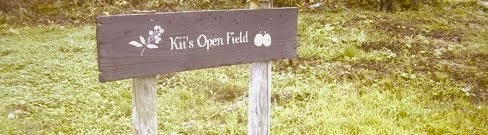 Kii's Open Field