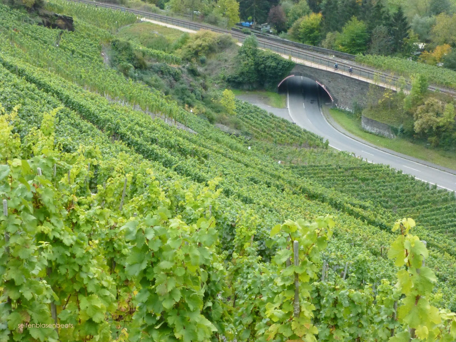 La Petite Cuisine Spatsommertag Am Rotweinwanderweg