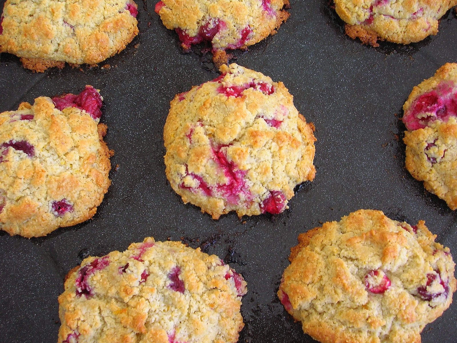 Paleo Cranberry Orange Scones, gluten free, low carb, sugar free