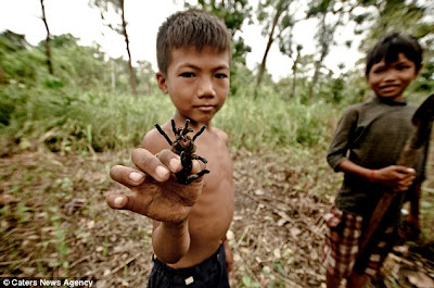 Tarantula Jadi Santapan Anak-anak di Kamboja