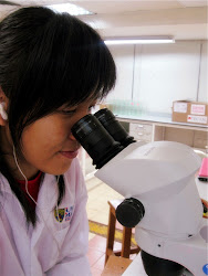 the moment doing labwork in um