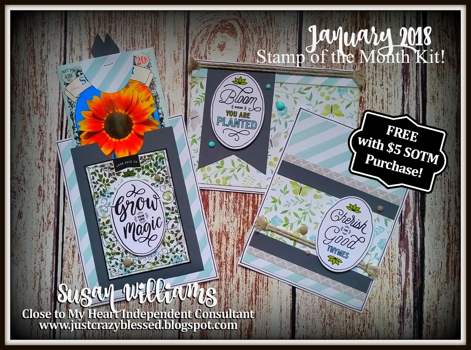 January Stamp of the Month Card Kit! With Interactive Pocket design space file!